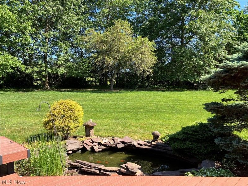 6675 Smucker Drive, Westfield Center, OH 44251 Photo 41
