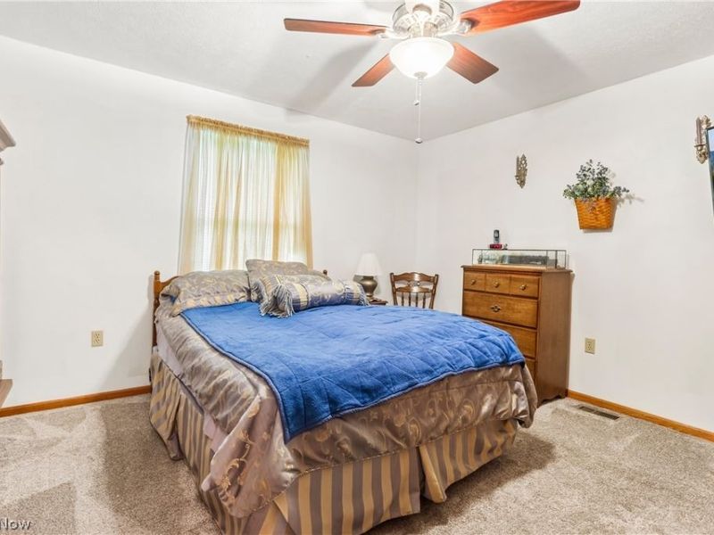 22875 Ellsworth Drive , Minerva, OH 44657 Photo 17