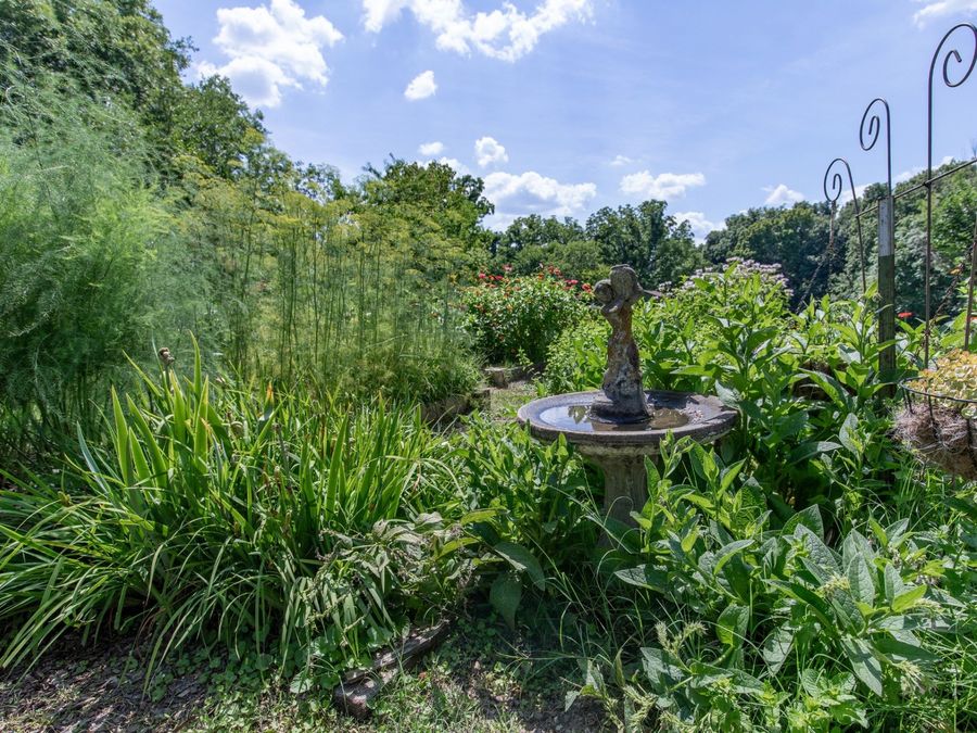 Property Image 53