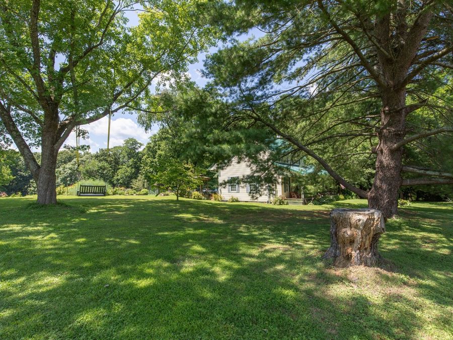 Property Image 54