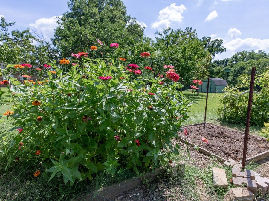 Property Image 55