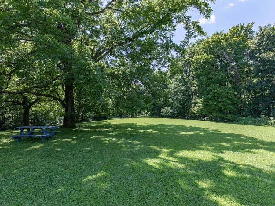 Property Image 81
