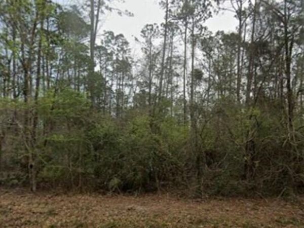 0 Aila Street, Diamondhead, MS 39525