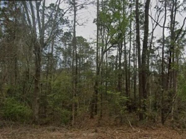 0 Aila Street, Diamondhead, MS 39525