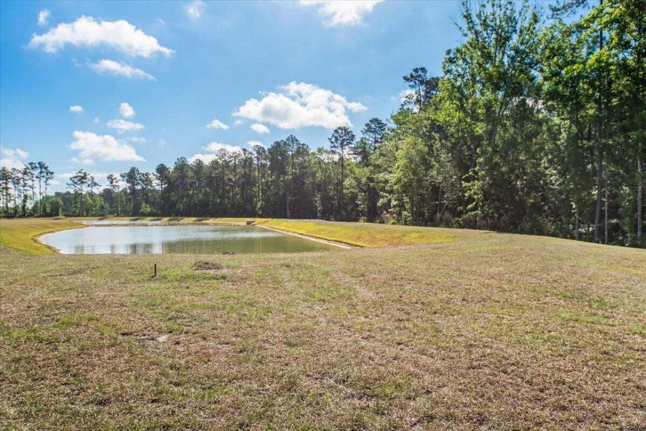 277 Ivory Shadow Road Photo 27