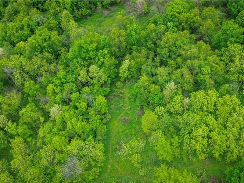 Tr 88 , Coshocton, OH 43824 Photo 18