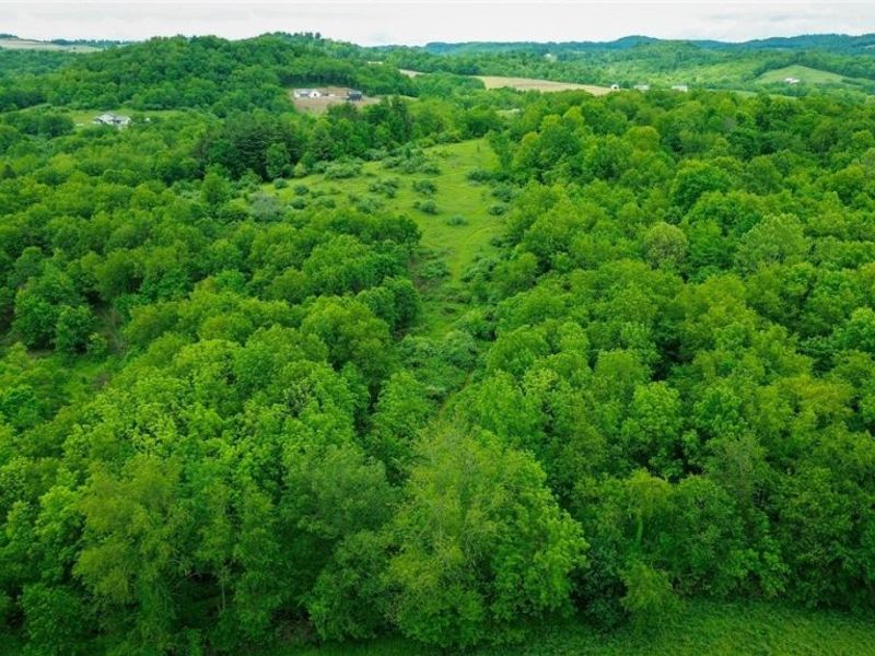 Tr 88 , Coshocton, OH 43824 Photo 21