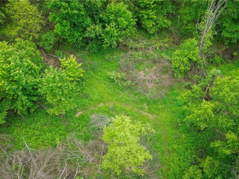 Tr 88 , Coshocton, OH 43824 Photo 26