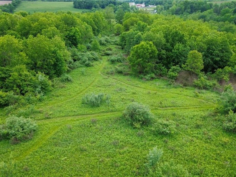 Tr 88 , Coshocton, OH 43824 Photo 29