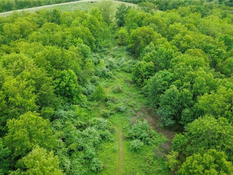 Tr 88 , Coshocton, OH 43824 Photo 31