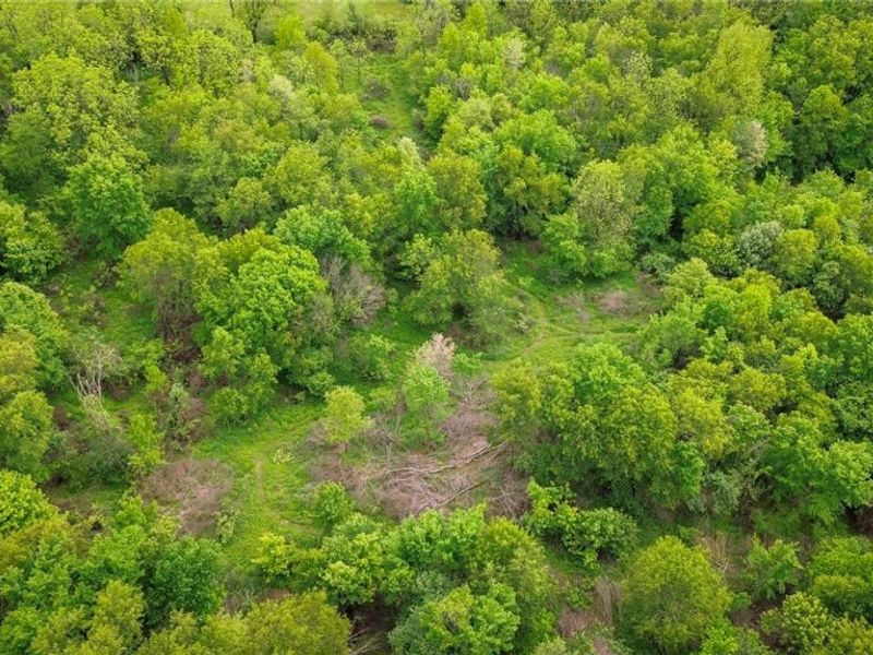 Tr 88 , Coshocton, OH 43824 Photo 33