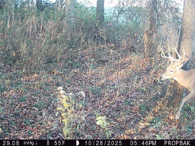 Tr 88 , Coshocton, OH 43824 Photo 40