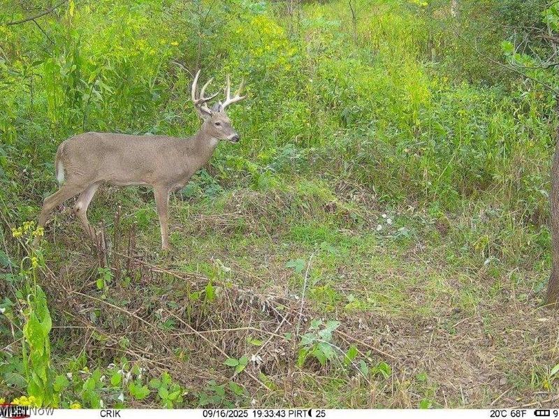 Tr 88 , Coshocton, OH 43824 Photo 41