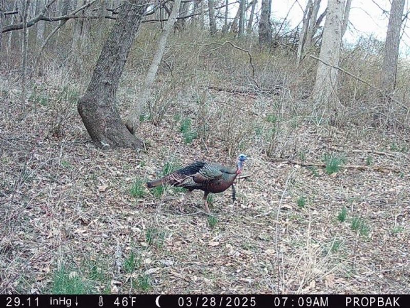 Tr 88 , Coshocton, OH 43824 Photo 42