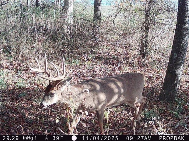 Tr 88 , Coshocton, OH 43824 Photo 43