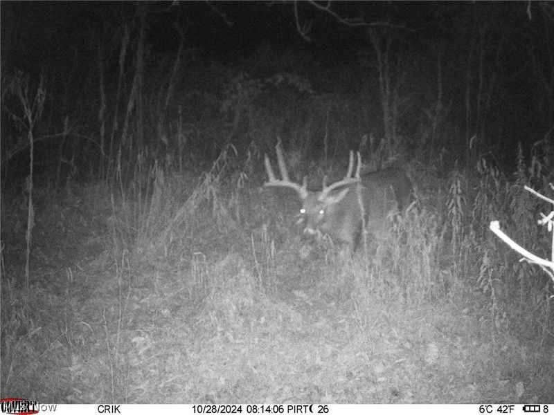 Tr 88 , Coshocton, OH 43824 Photo 46