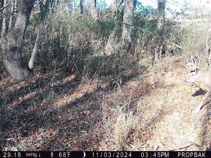 Tr 88 , Coshocton, OH 43824 Photo 48