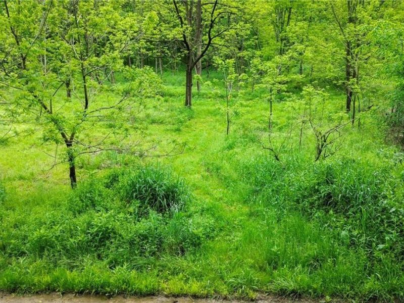 Tr 88 , Coshocton, OH 43824 Photo 8