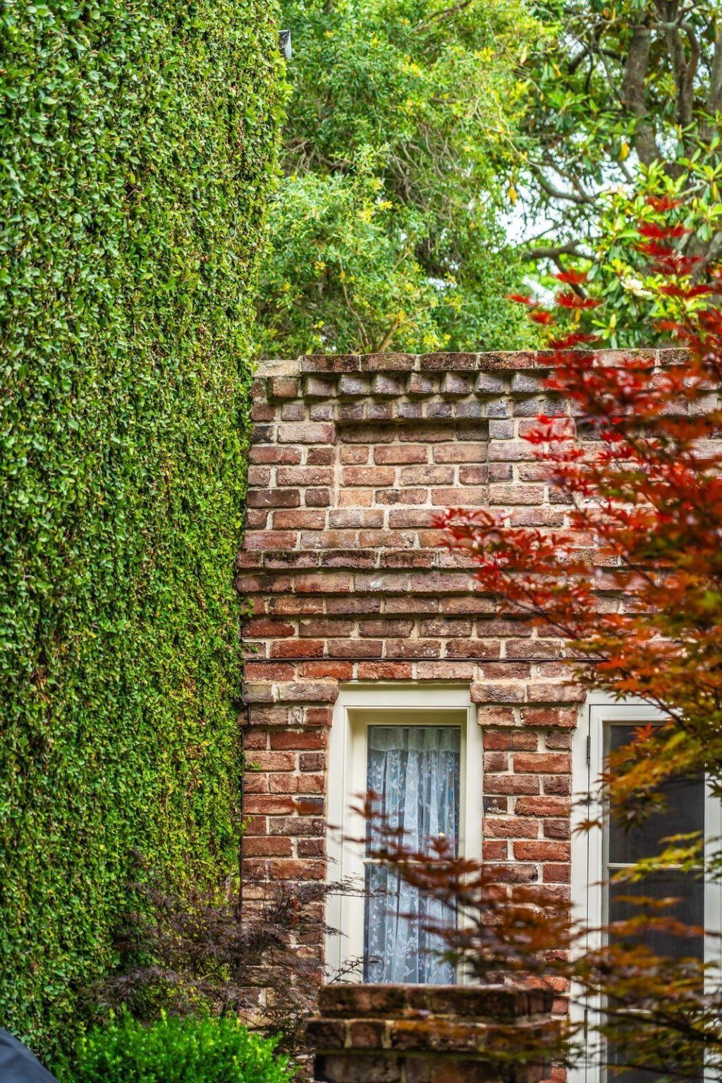 17 Tradd Street Photo 57