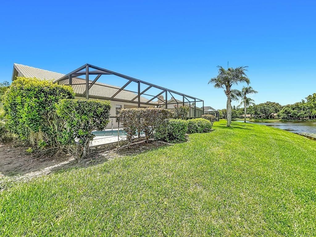 5569 Greyston Street, Palm Harbor, FL 34685 Photo