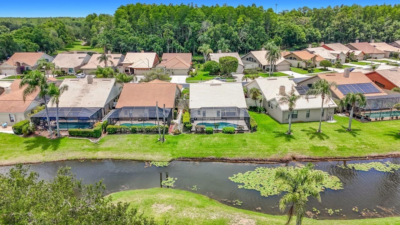 5569 Greyston Street, Palm Harbor, FL 34685 Photo