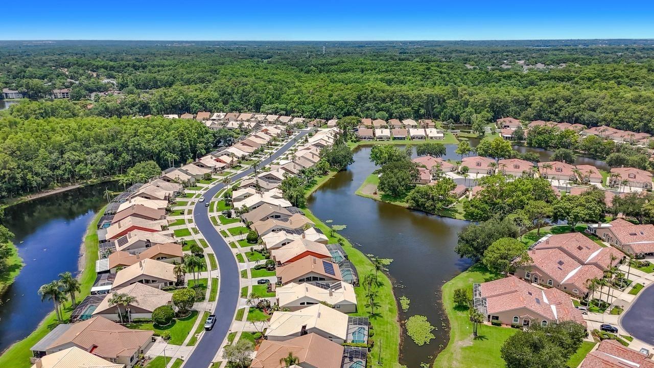 5569 Greyston Street, Palm Harbor, FL 34685 Photo
