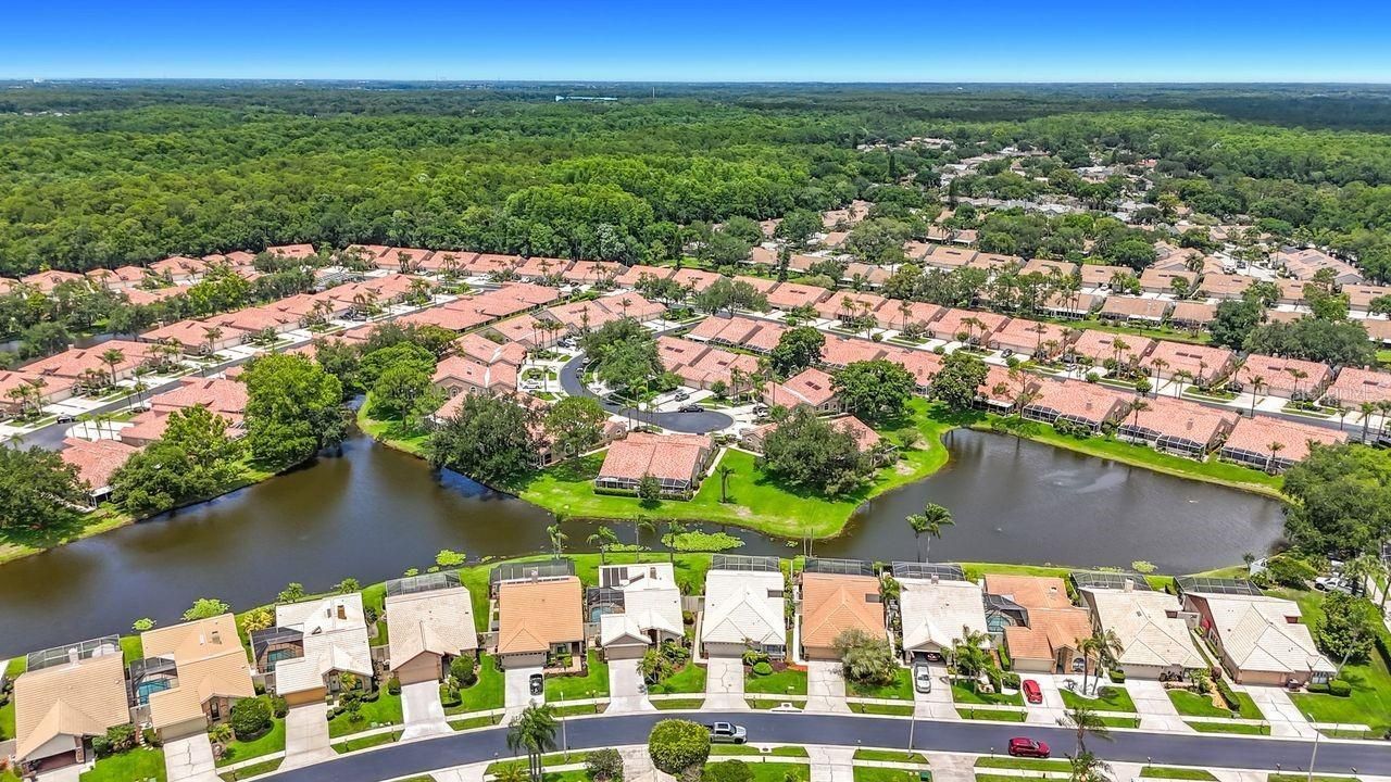 5569 Greyston Street, Palm Harbor, FL 34685 Photo