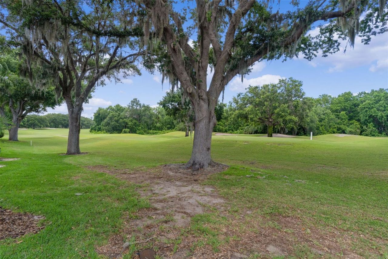 9429 San Miguel, Howey in the Hills, FL 34737 Photo