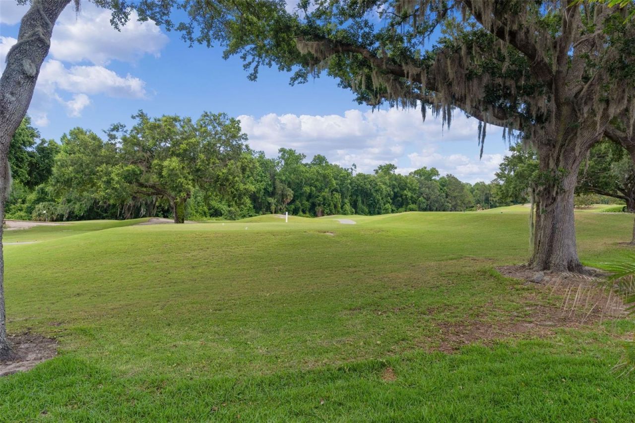 9429 San Miguel, Howey in the Hills, FL 34737 Photo