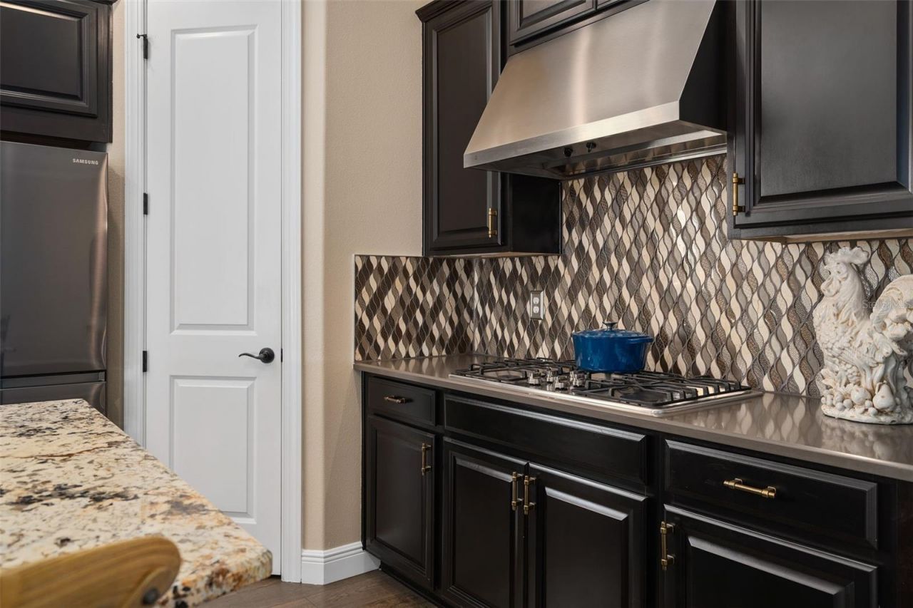 1263 Zeek Ridge Street, Clermont, FL 34715 Photo