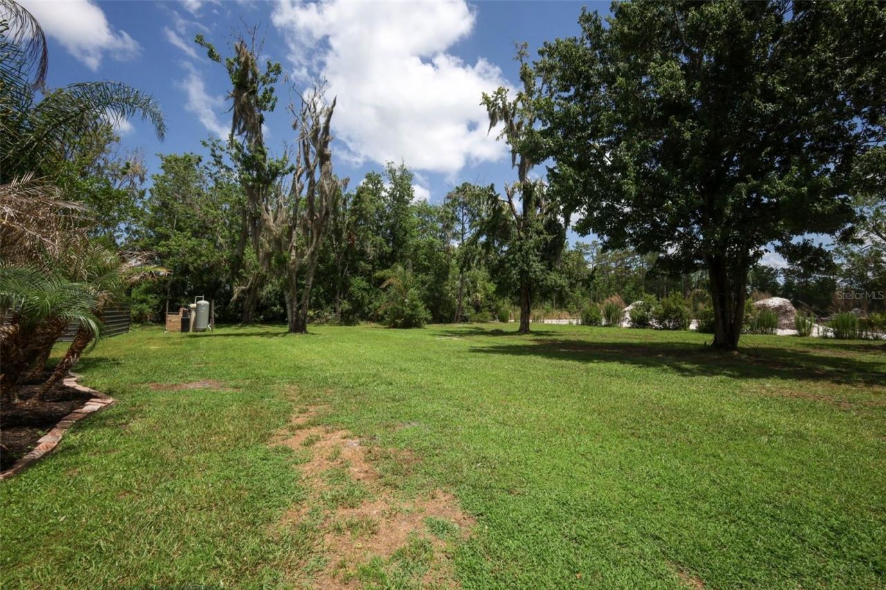 2461 Wassum Trail, Oviedo, FL 32766 Photo