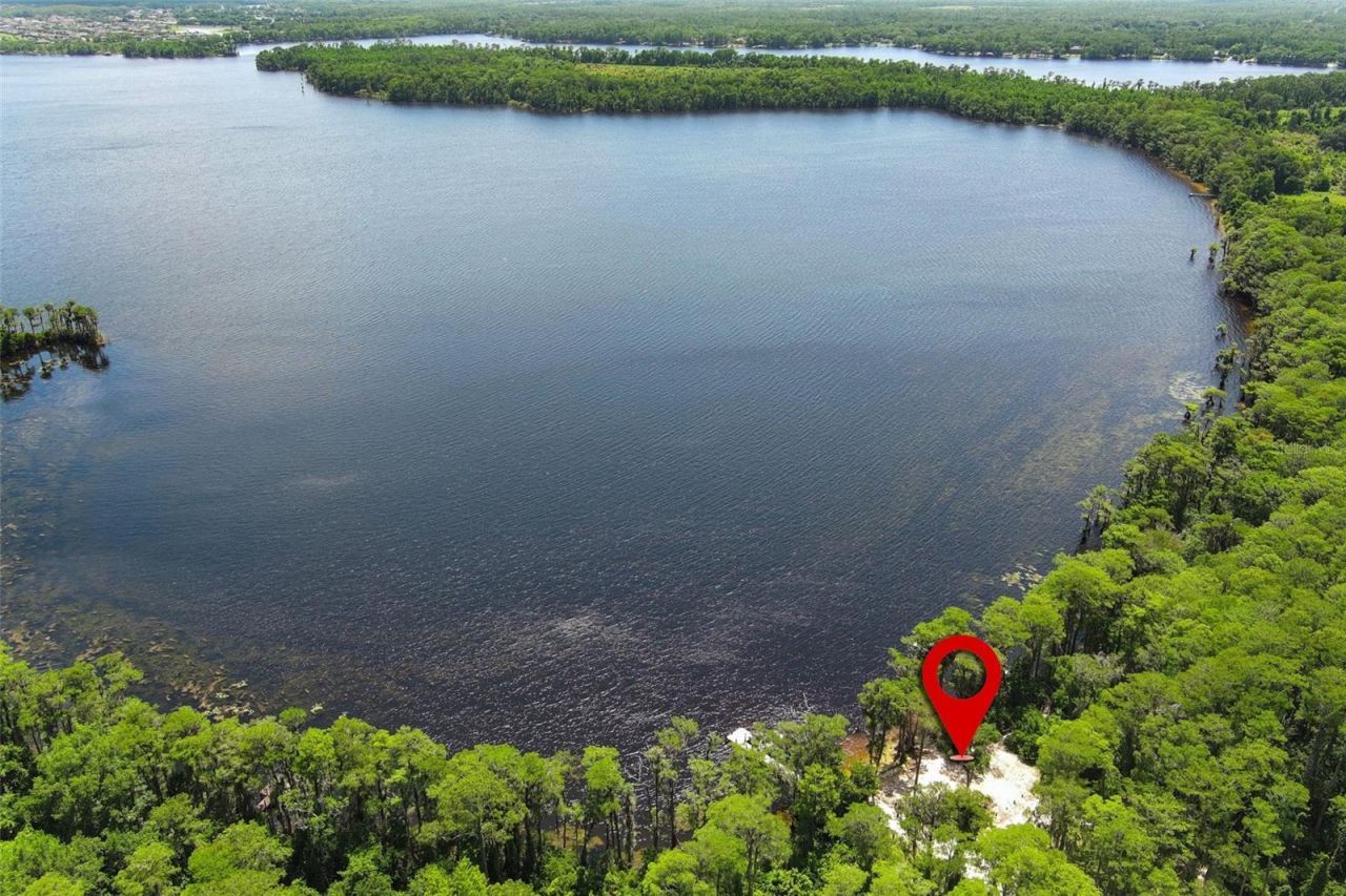 2461 Wassum Trail, Oviedo, FL 32766 Photo