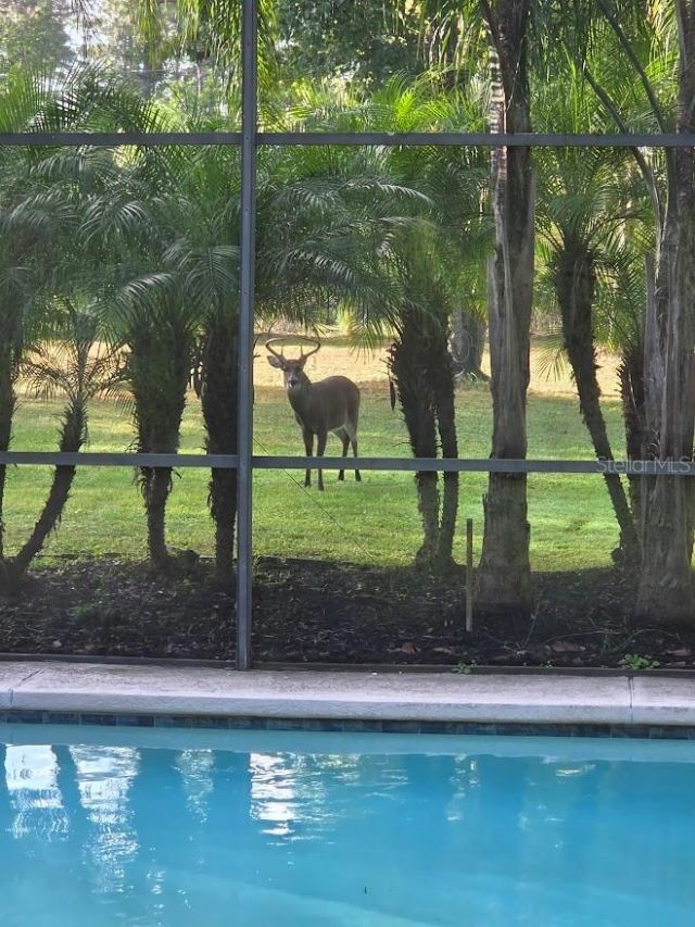 2461 Wassum Trail, Oviedo, FL 32766 Photo