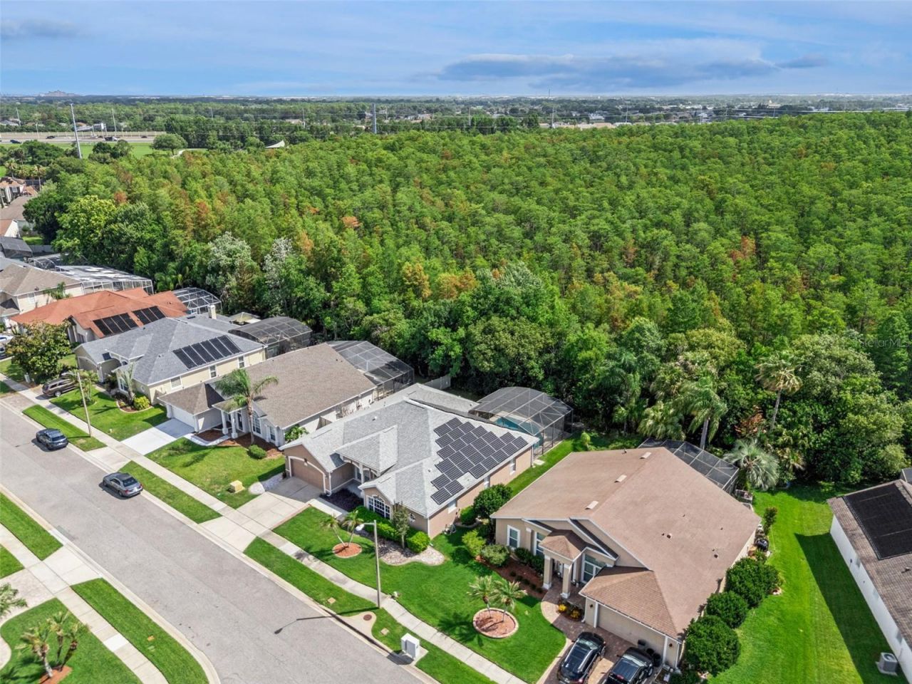13429 Falcon Pointe Drive, Orlando, FL 32837 Photo