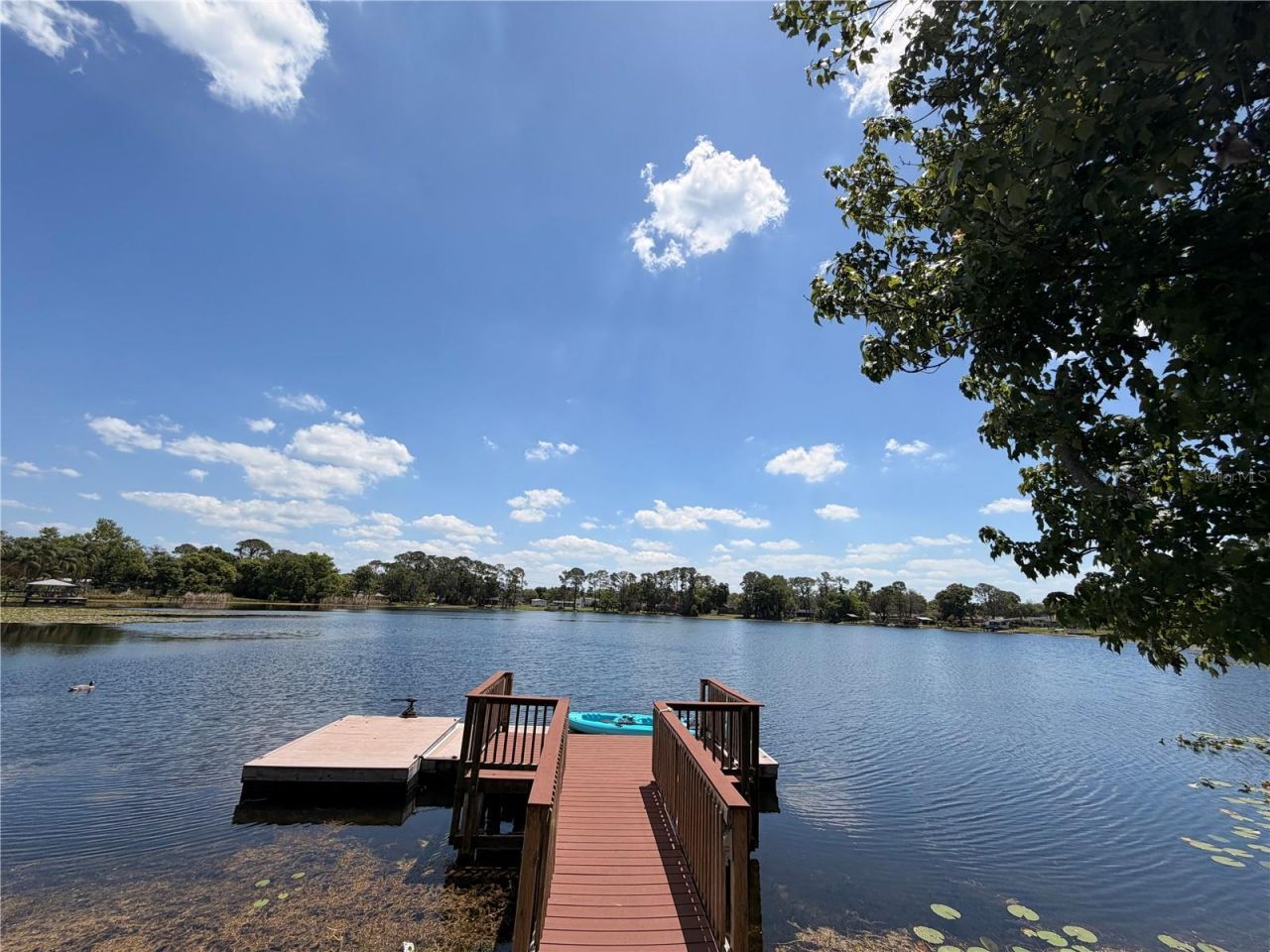 5300 Cub Lake Drive, Apopka, FL 32703 Photo