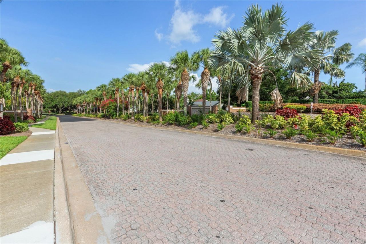 2653 Landing Way, Palm Harbor, FL 34684 Photo