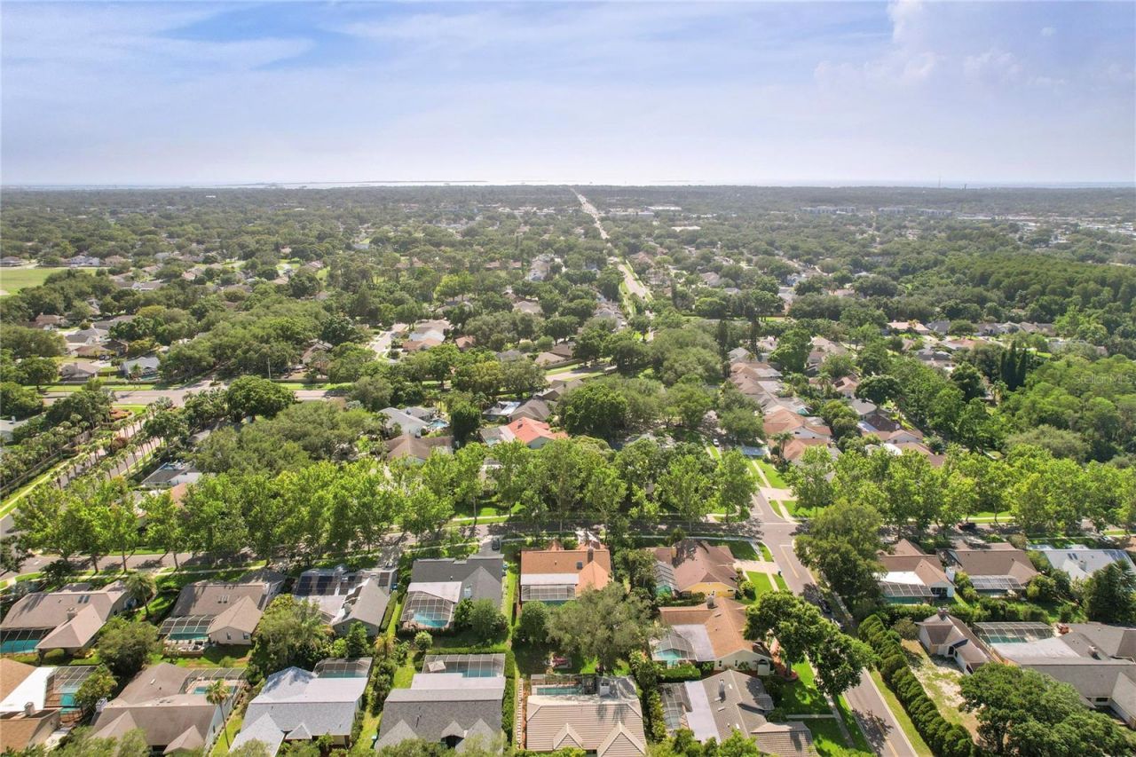 2653 Landing Way, Palm Harbor, FL 34684 Photo