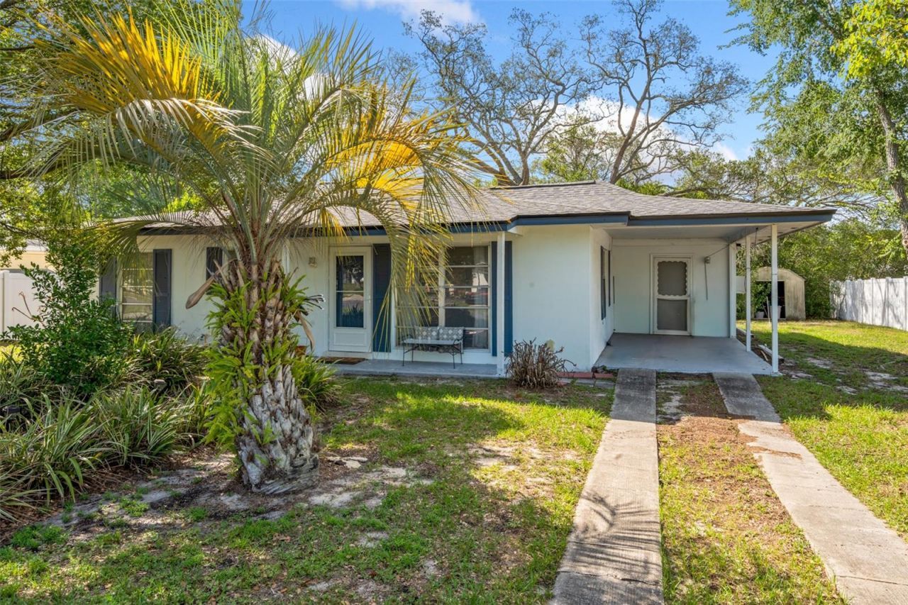 6816 Treehaven Drive, Spring Hill, FL 34606 Photo