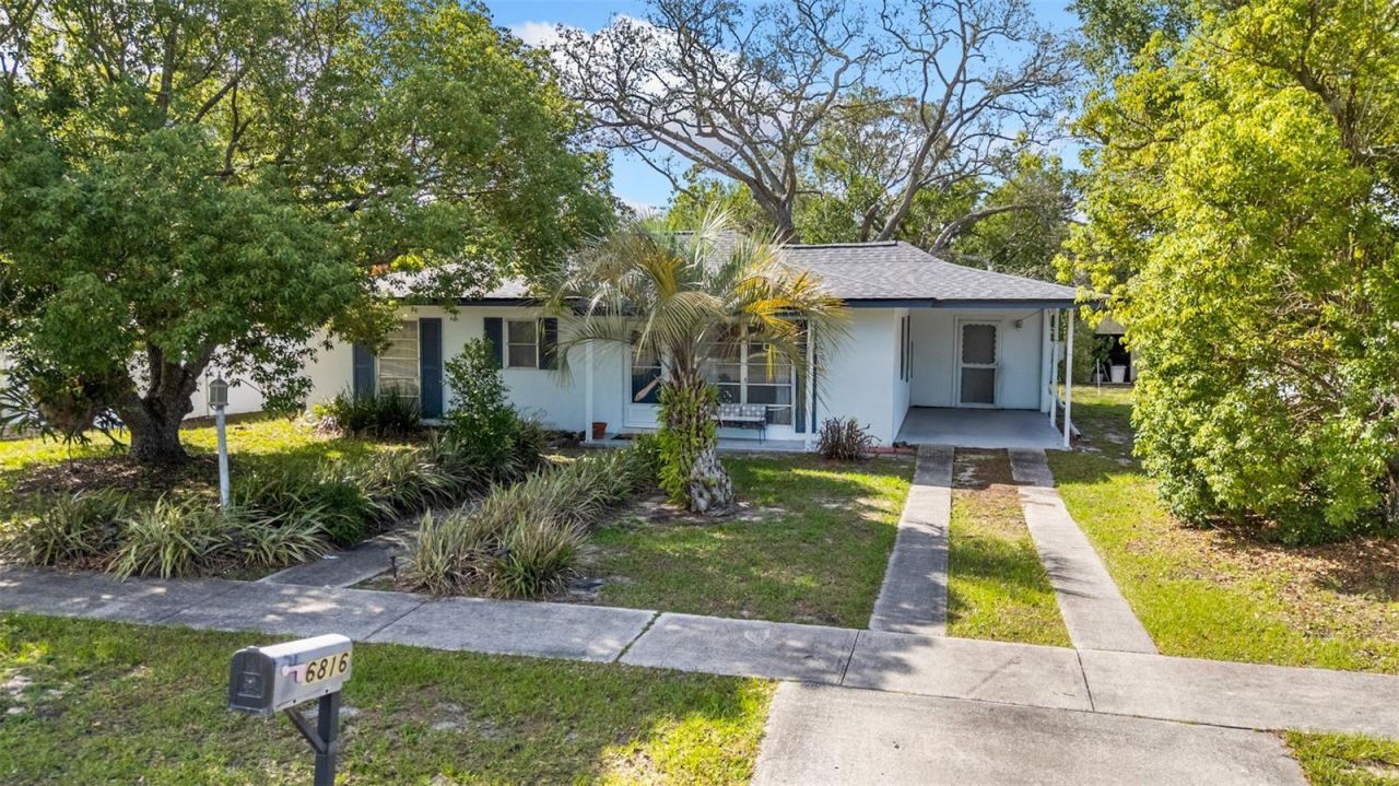 6816 Treehaven Drive, Spring Hill, FL 34606 Photo