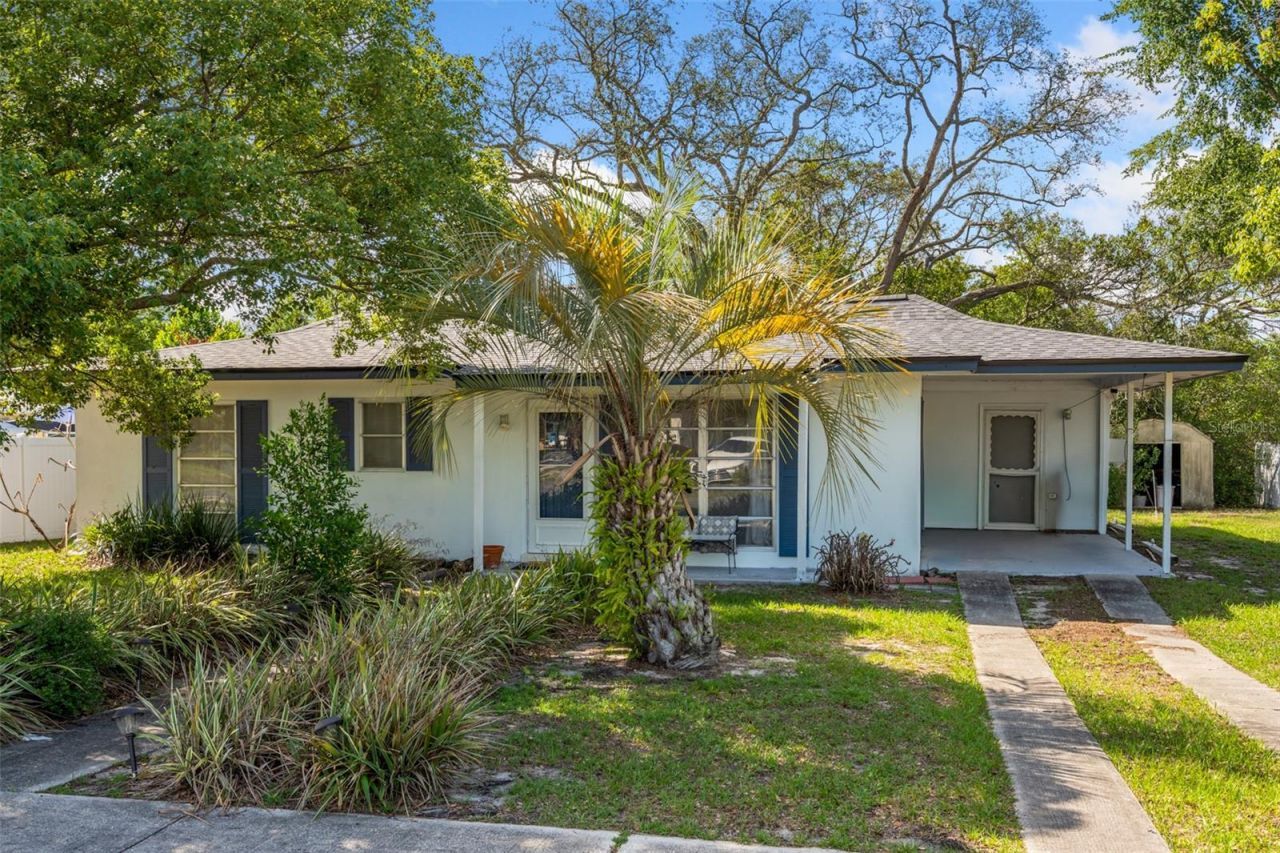 6816 Treehaven Drive, Spring Hill, FL 34606 Photo