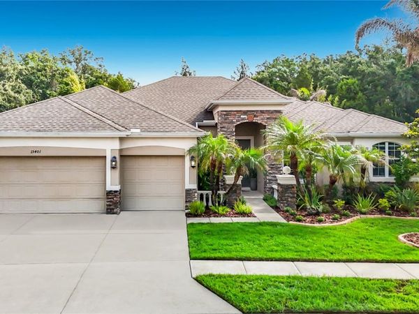 15401 AZRA DRIVE, ODESSA, FL 33556