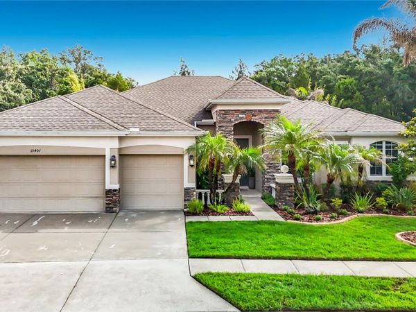 15401 AZRA DRIVE , ODESSA, FL 33556