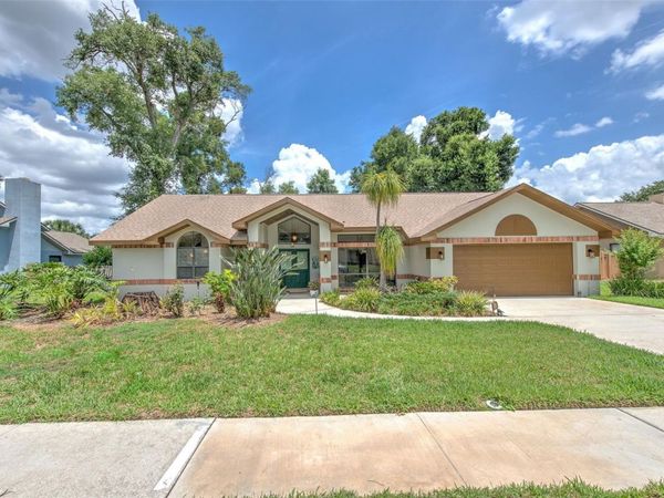3816 BUCKINGHAM LOOP DRIVE , VALRICO, FL 33594