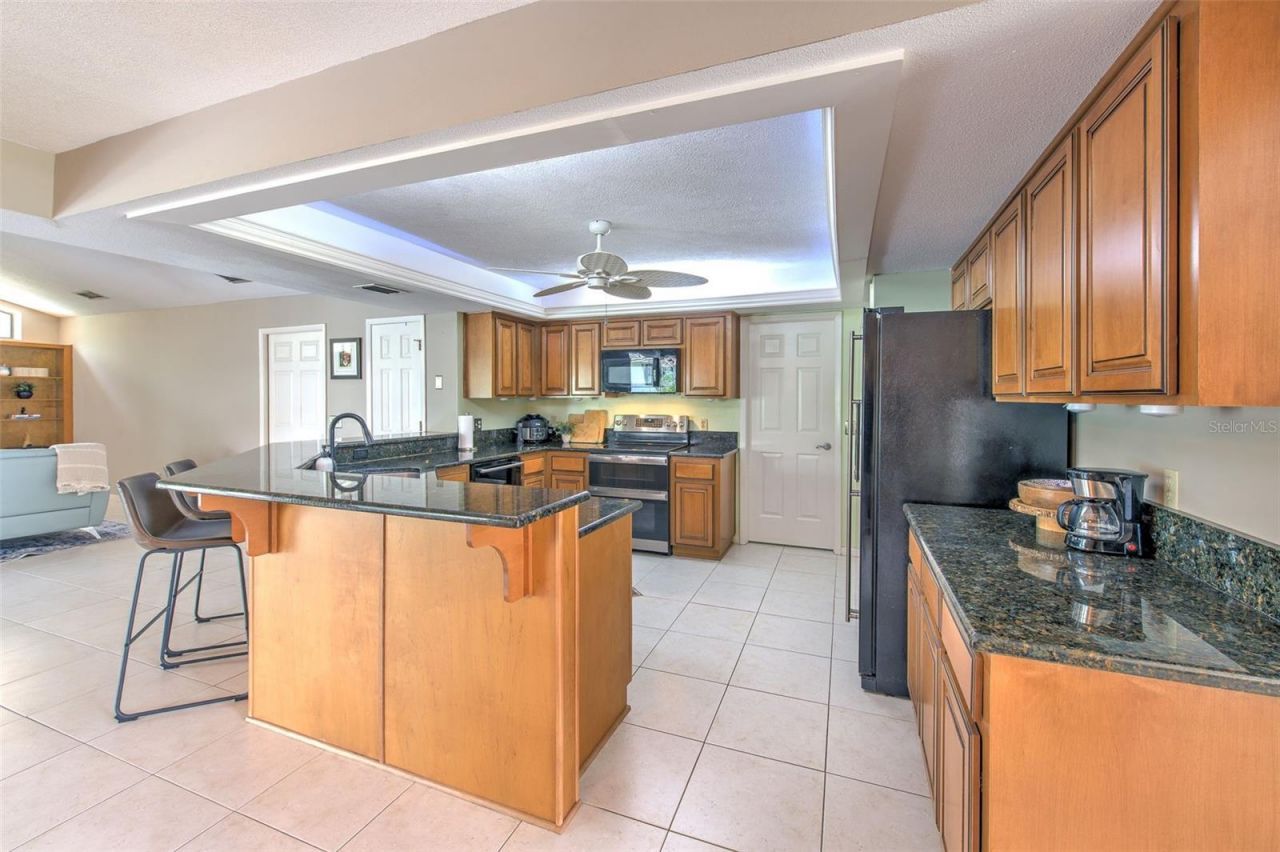 3816 Buckingham Loop Drive, Valrico, FL 33594 Photo