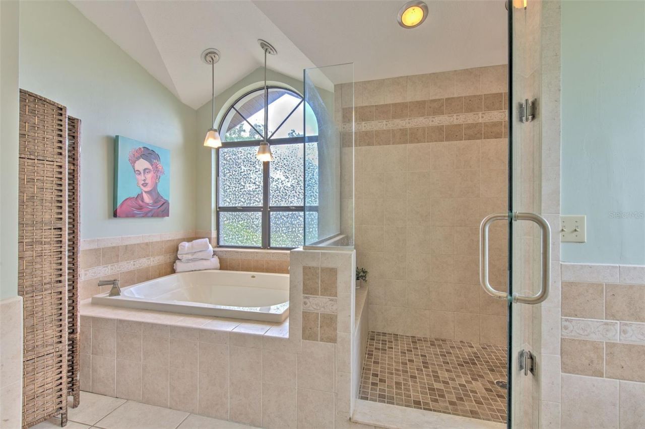 3816 Buckingham Loop Drive, Valrico, FL 33594 Photo