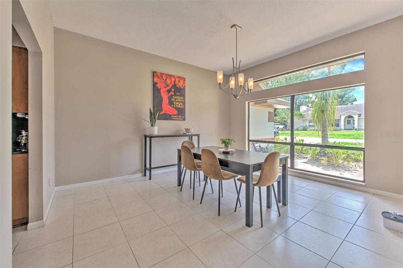 3816 Buckingham Loop Drive, Valrico, FL 33594 Photo