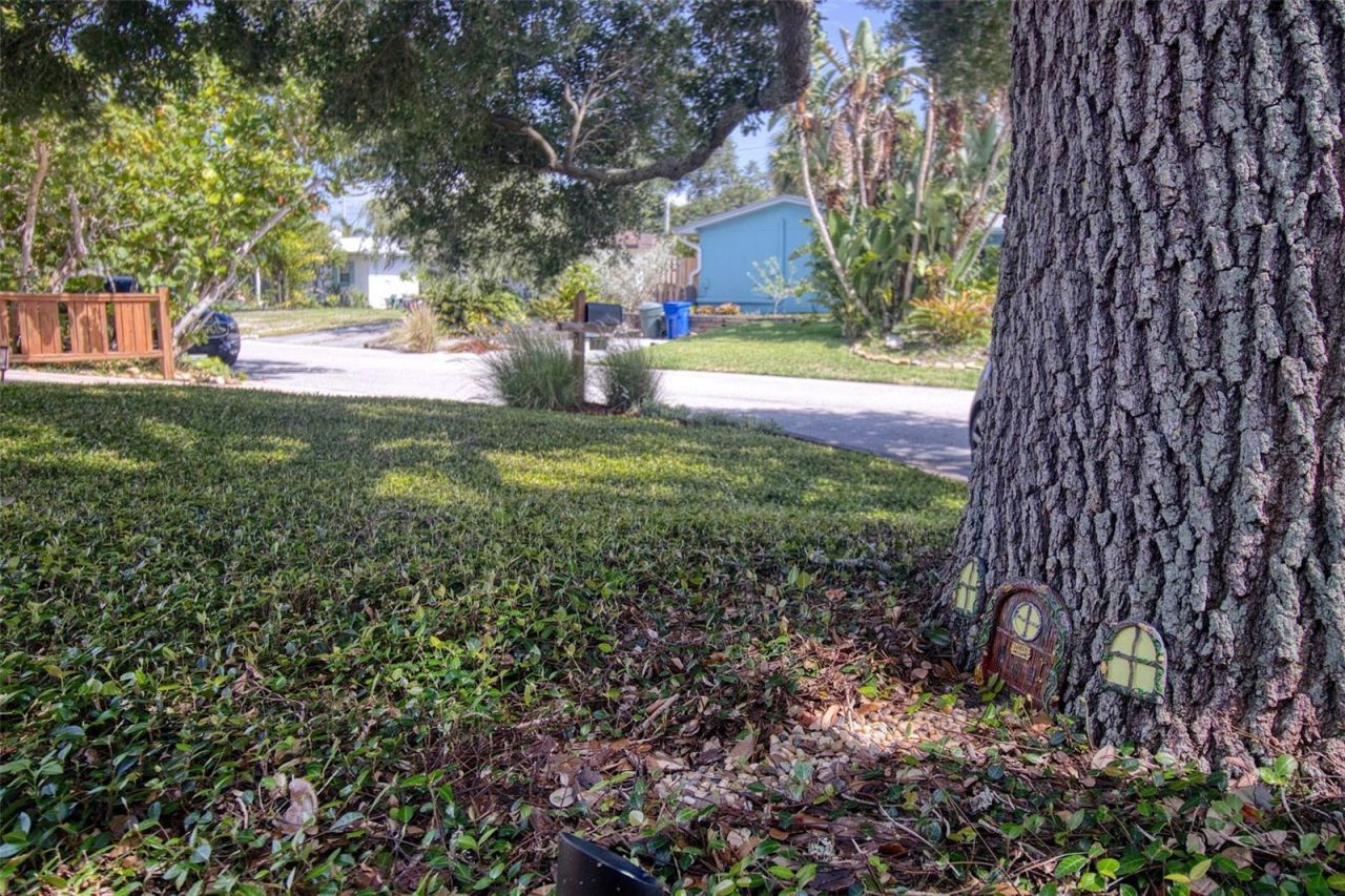 128 Edgewater Terrace, Dunedin, FL 34698 Photo