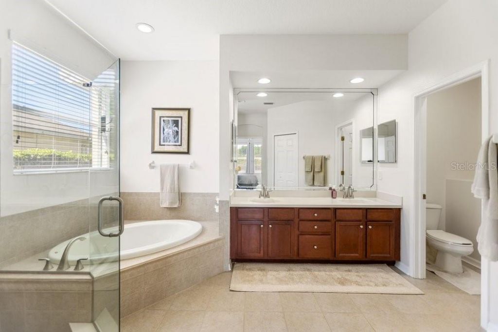 8758 Crystal Creek Court, Land O Lakes, FL 34638 Photo