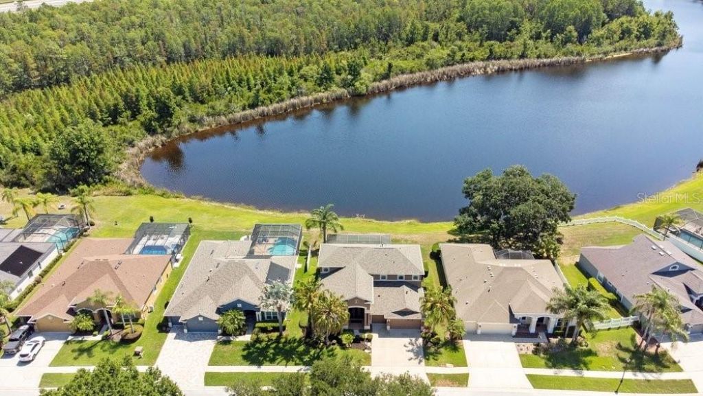 8758 Crystal Creek Court, Land O Lakes, FL 34638 Photo