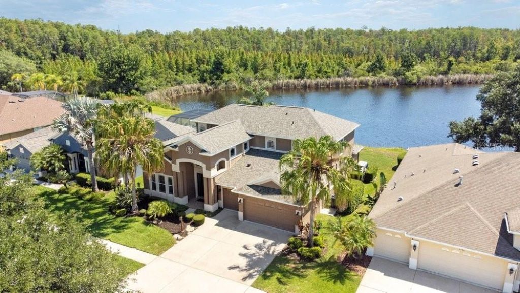8758 Crystal Creek Court, Land O Lakes, FL 34638 Photo